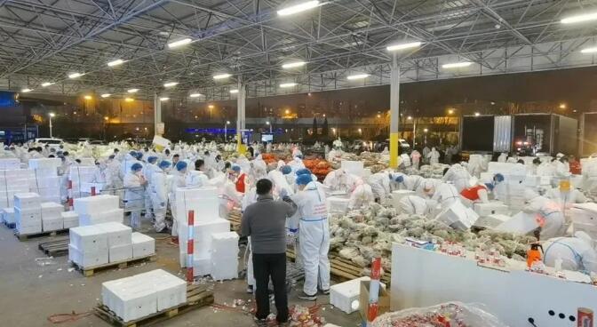 上海，大连蔬菜包明天到！