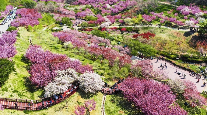 “近”享滨城好时光