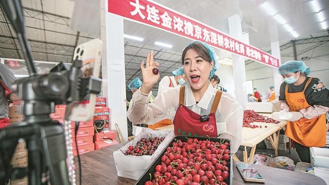 露地大樱桃上市 走出全国“大市场”