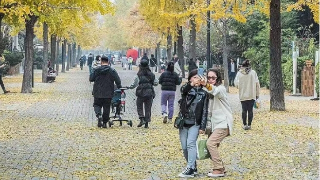 小雪已过 秋景依然