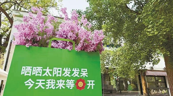 当百年老街遇上缤纷花海