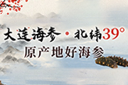 大连海参·北纬39° 原产地好海参