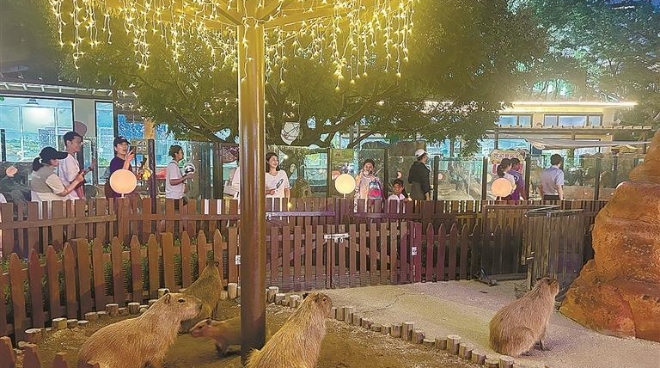 “夜探神秘动物王国”炫彩启幕