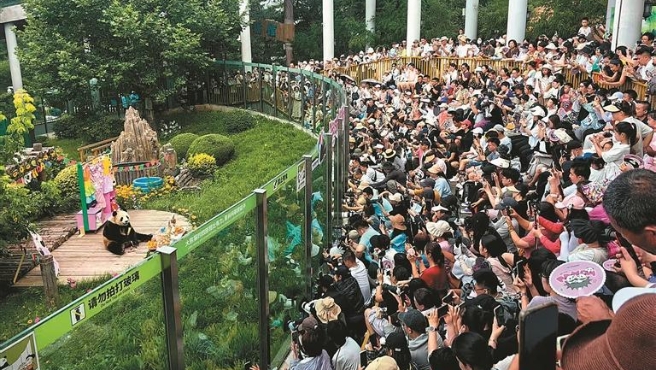 “飞云”庆生 人山人海