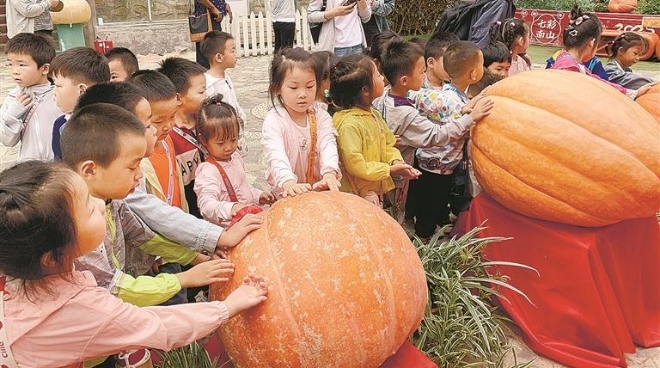 两大田园活动解锁文旅新体验