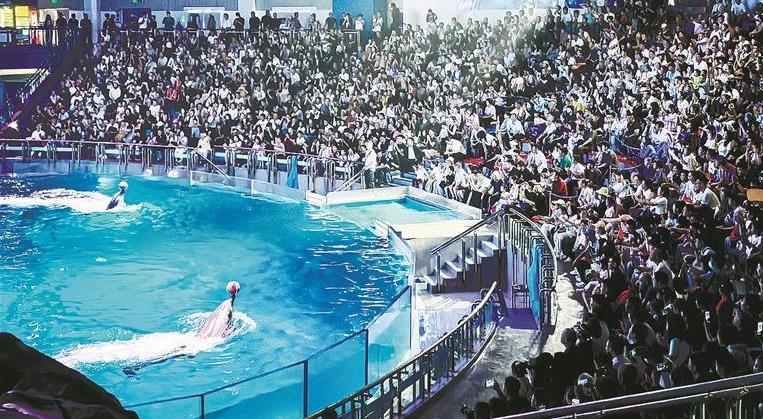 老虎滩海洋公园多维发力深耕“品质文旅”