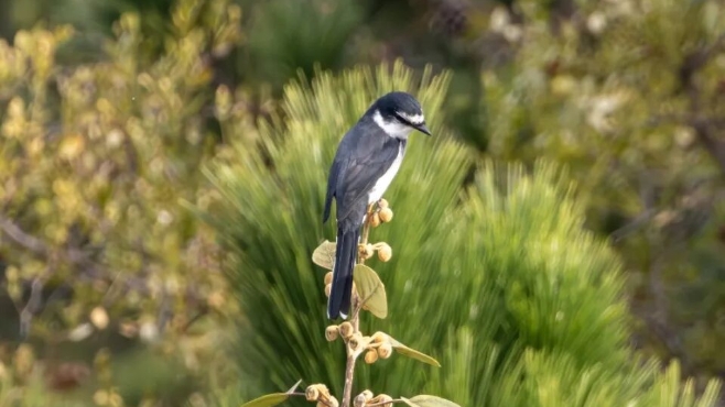 老铁山，“上新”了