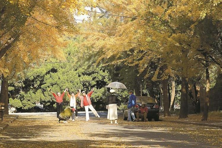 城市金色童话依旧