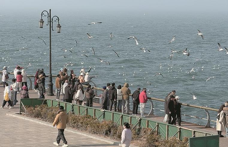 春节交通执法不打烊守护地铁平安出行