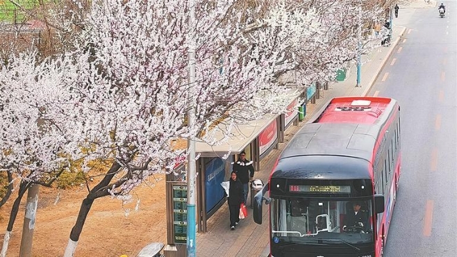 “最美公交站台”邀你来打卡