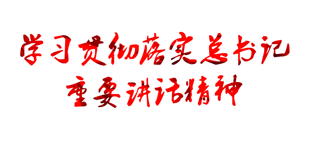 学习贯彻落实总书记重要讲话精神
